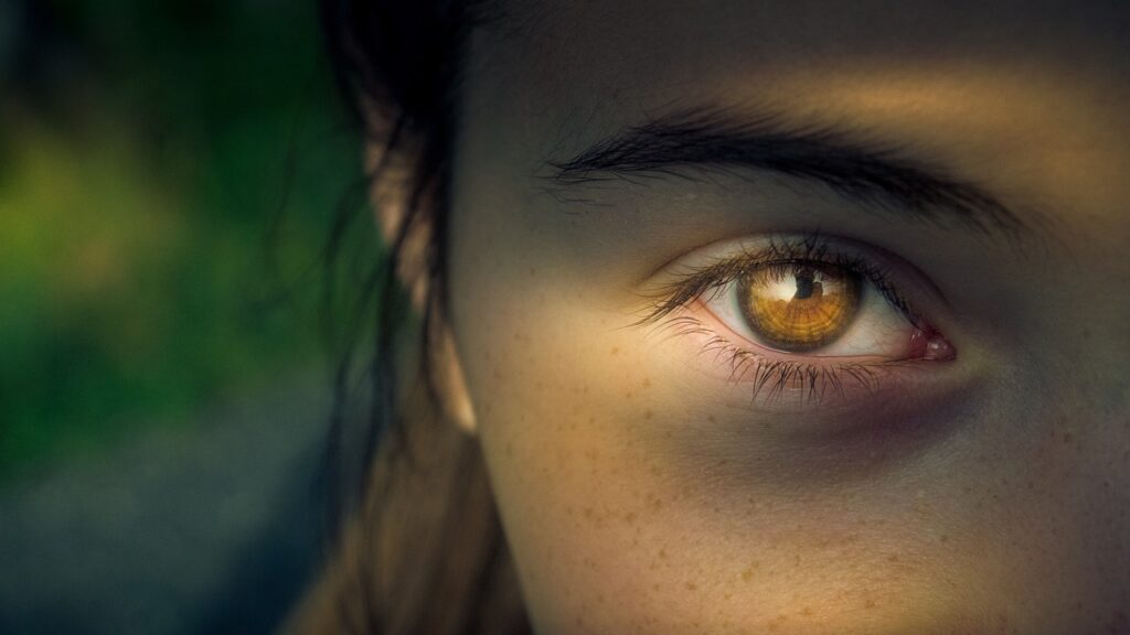 eye iris pupil view focus woman 2683414